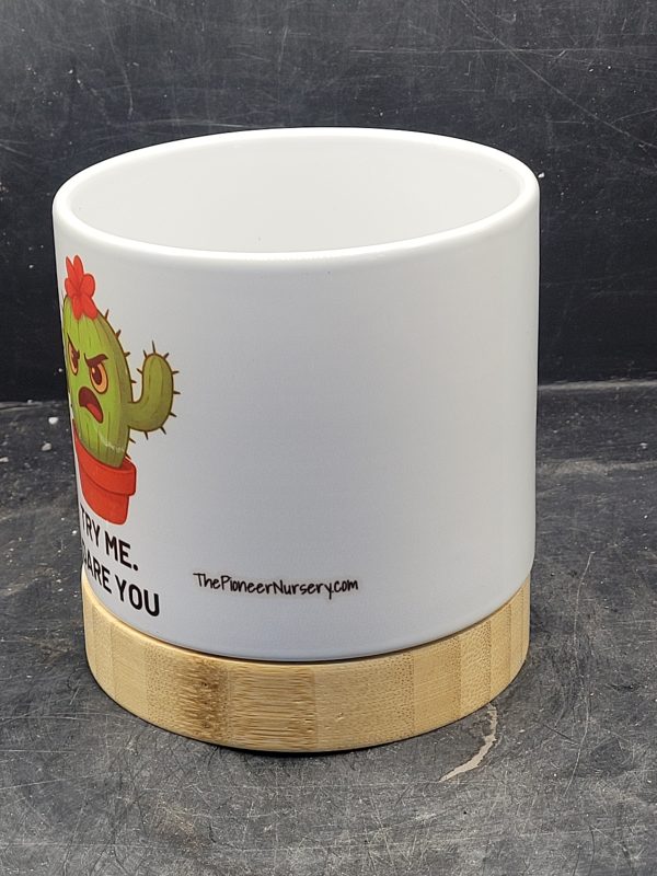 The Pioneer Nursery 4” Ceramic Planter Pot – “Try Me I Dare You” Cactus Design with Bamboo Base & Drainage Hole - Image 4