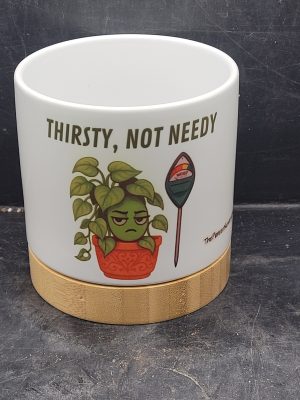 The Pioneer Nursery 4” Ceramic Planter Pot – “Thirsty Not Needy” Cactus Design with Bamboo Base & Drainage Hole
