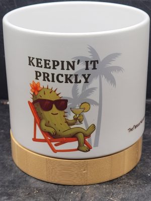 The Pioneer Nursery 4” Ceramic Planter Pot – “Keepin' It Prickly” Cactus Design with Bamboo Base & Drainage Hole