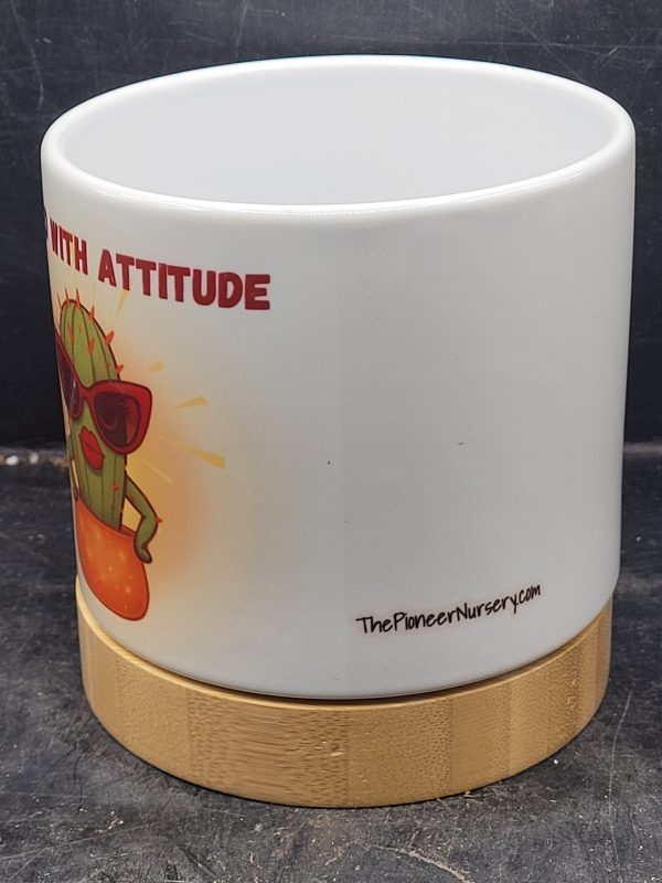 The Pioneer Nursery 4” Ceramic Planter Pot – “Potted With Attitude” Cactus Design with Bamboo Base & Drainage Hole - Image 3
