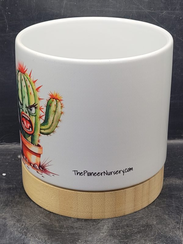 The Pioneer Nursery 4” Ceramic Planter Pot – “Don't Be A Prick” Cactus Design with Bamboo Base & Drainage Hole - Image 6