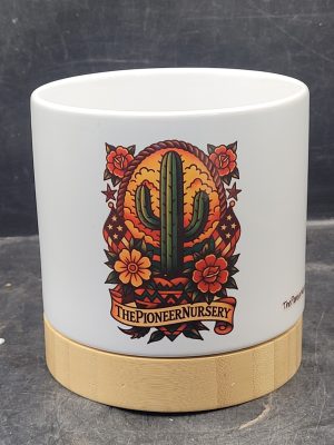 The Pioneer Nursery 4” Ceramic Planter Pot – “Ink & Needles” Cactus Design with Bamboo Base & Drainage Hole