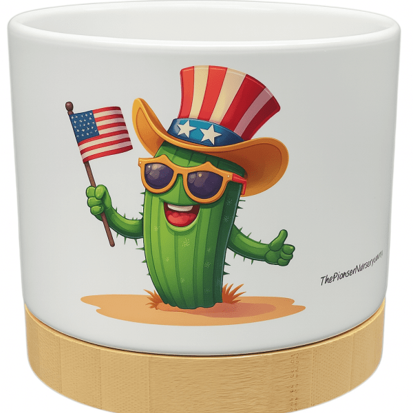 The Pioneer Nursery 4” Ceramic Planter Pot – “Stars, Spikes & Stripes” Cactus Design with Bamboo Base & Drainage Hole