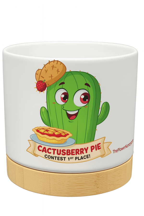 The Pioneer Nursery 4” Ceramic Planter Pot – “Cactusberry Pie” Cactus Design with Bamboo Base & Drainage Hole