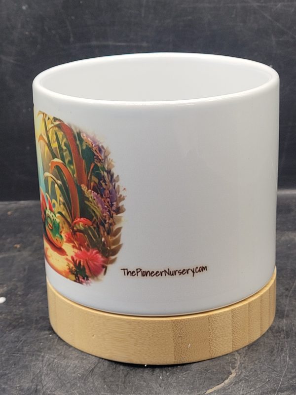 The Pioneer Nursery 4” Ceramic Planter Pot – “Forest Nap” Cactus Design with Bamboo Base & Drainage Hole - Image 2