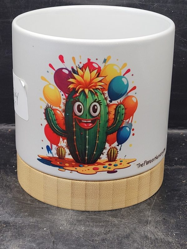 Ceramic Pot White with Bamboo Base with Funny Cactus  Fools  Images, 4 Inch - Image 3
