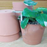 6 Pack Lot of 6.25 Inch Terracotta Terra Cotta Clay Pots Planters