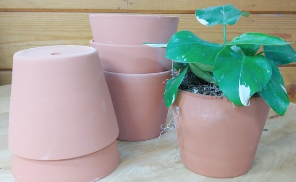 6 Pack Lot of 6.25 Inch Terracotta Terra Cotta Clay Pots Planters - Image 2