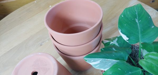 6 Pack Lot of 6.25 Inch Terracotta Terra Cotta Clay Pots Planters - Image 3