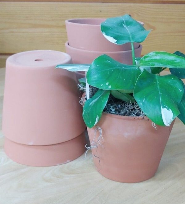 6 Pack Lot of 6.25 Inch Terracotta Terra Cotta Clay Pots Planters - Image 5
