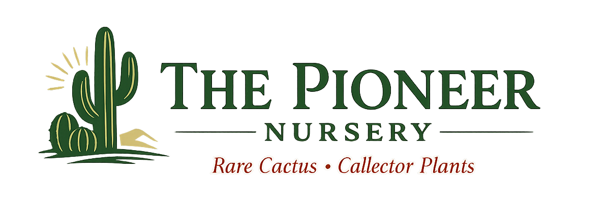 Pioneer Nursery