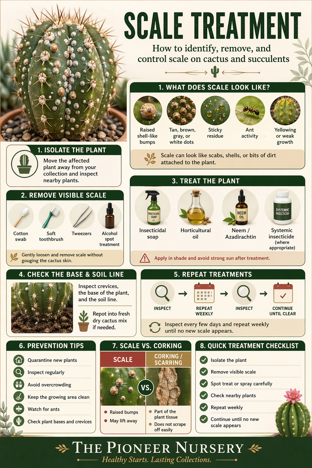 Scale Treatment – Pioneer Nursery