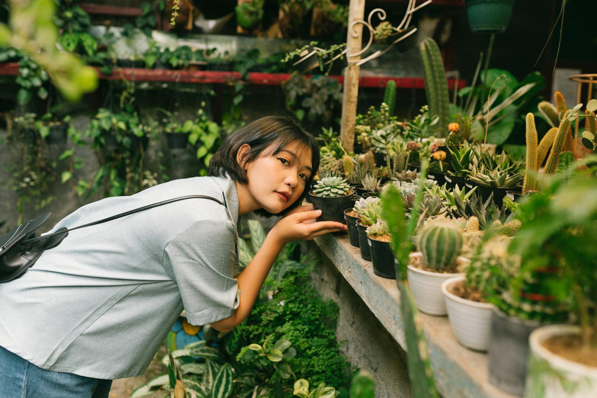 Young woman shopping for succulents in an indoor retail plant store setting.