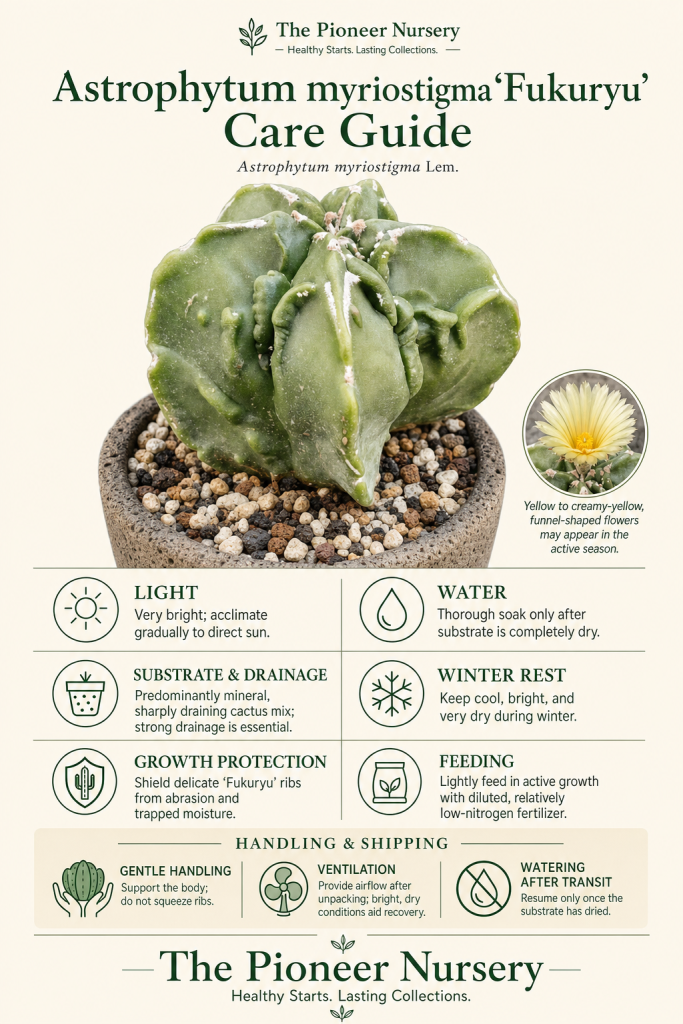 Care Guides