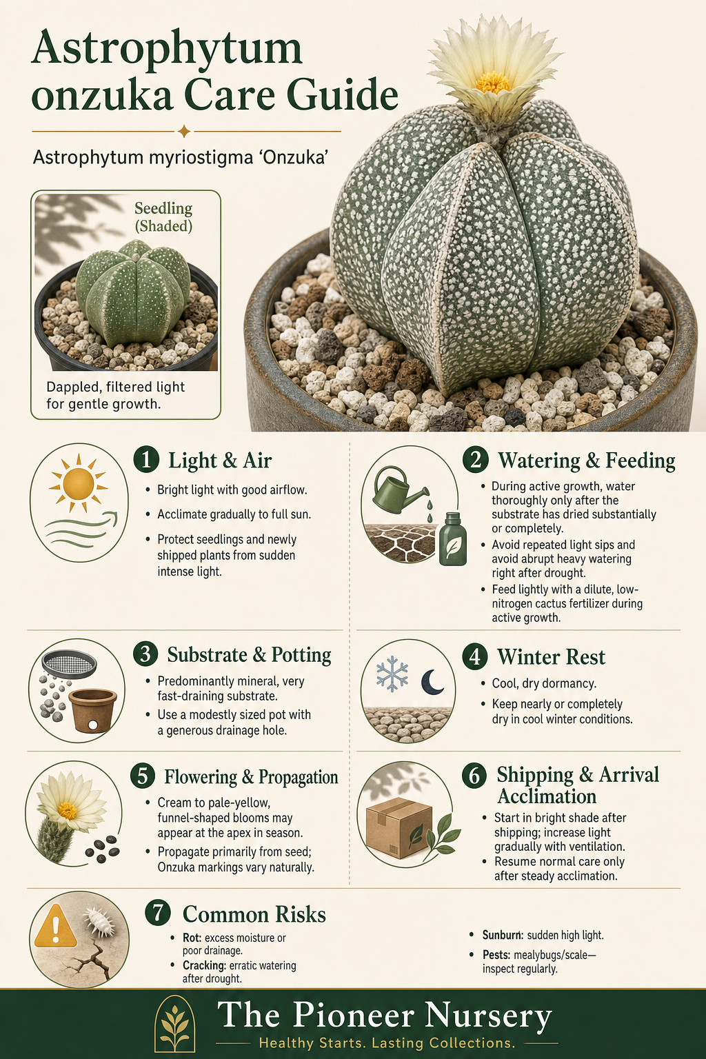 Astrophytum onzuka care guide showing a ribbed cactus with dense white markings and key care requirements