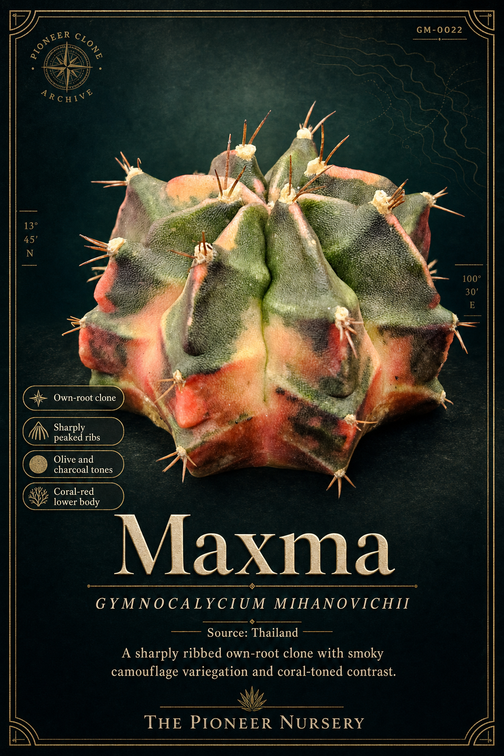 Maxma Gymnocalycium mihanovichii clone profile