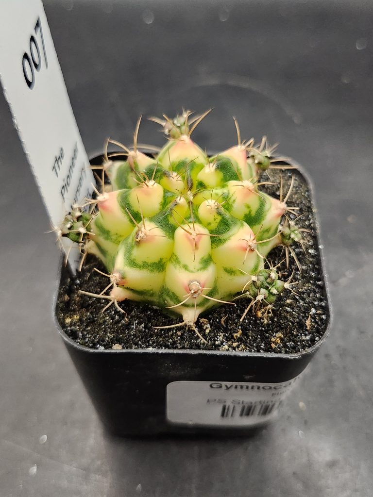 Shop the Nursery