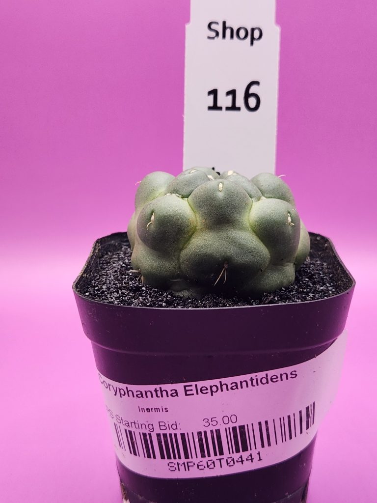 Shop the Nursery